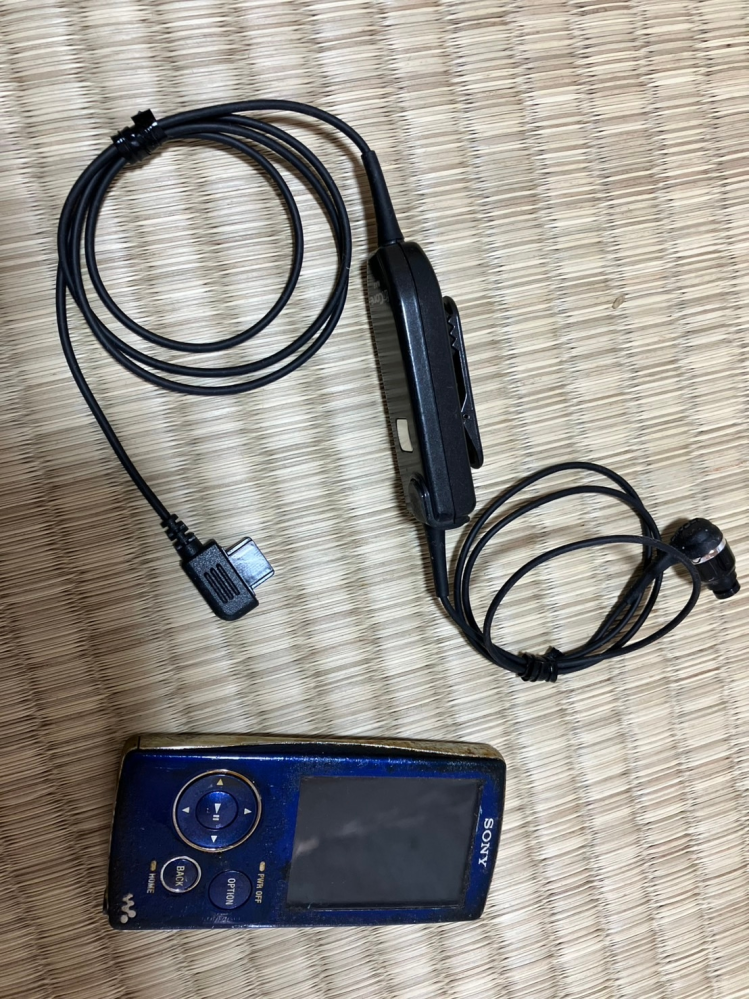ワイヤレスイヤホン(傷あり) 買って1ヶ月も経っていないワイヤレスイヤホンのケースに傷が