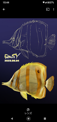 ○この魚の絵、何だと思いますか? - お疲れ様ですこんびにさん