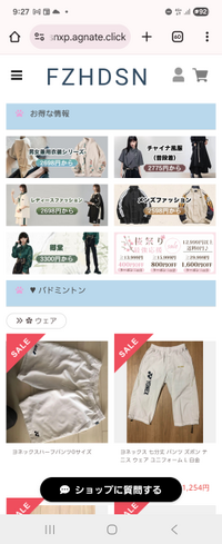 このサイトは詐欺でしょうか？この商品ではなく別のものですが