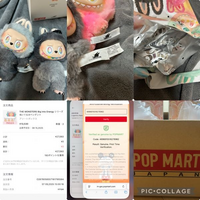 ラブブのエナジーシリーズをBOXで購入したのですがランダムと