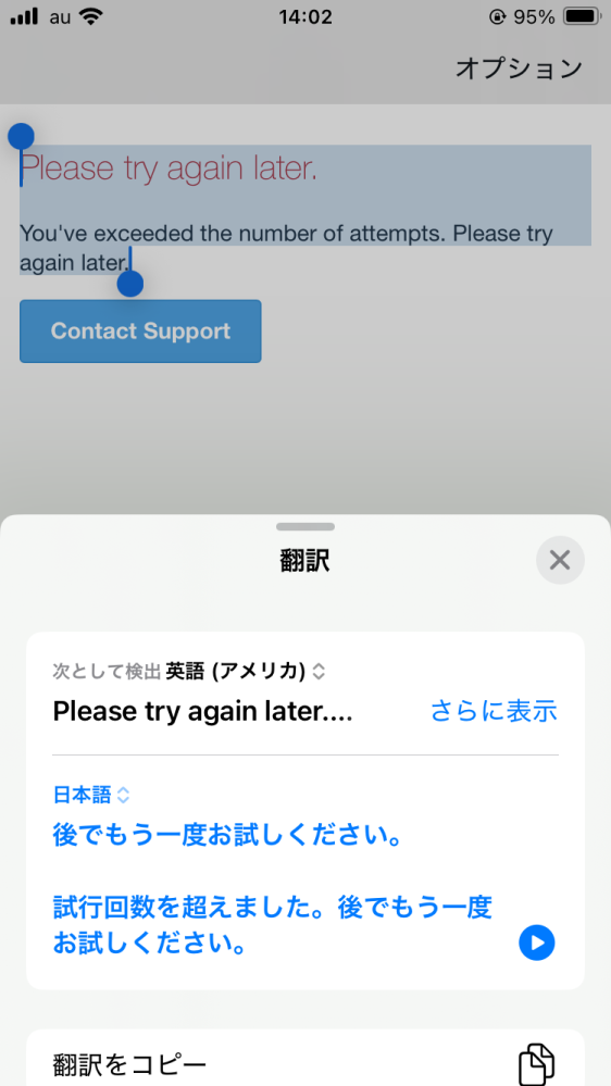 至急教えていただきたいですINIのシリアルナンバーについてです