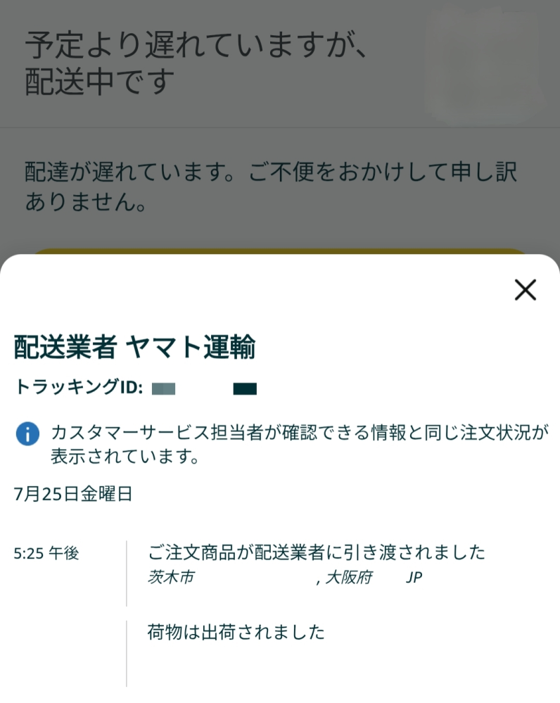 スティーブ⚡️　他の人が購入したら違うものを送ります StockXでの購入方法！関税は？｜jirokichi