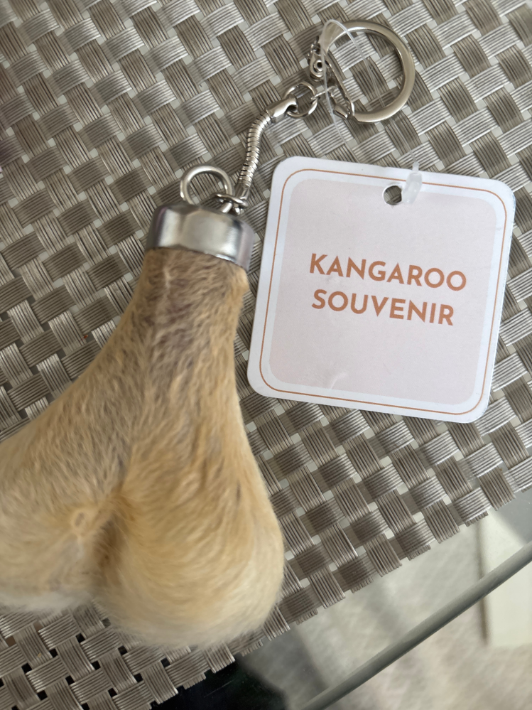 カンガルーのキンタマキーホルダー 友達がオーストラリアのお土産にカンガルーのキーホルダーくれたのです