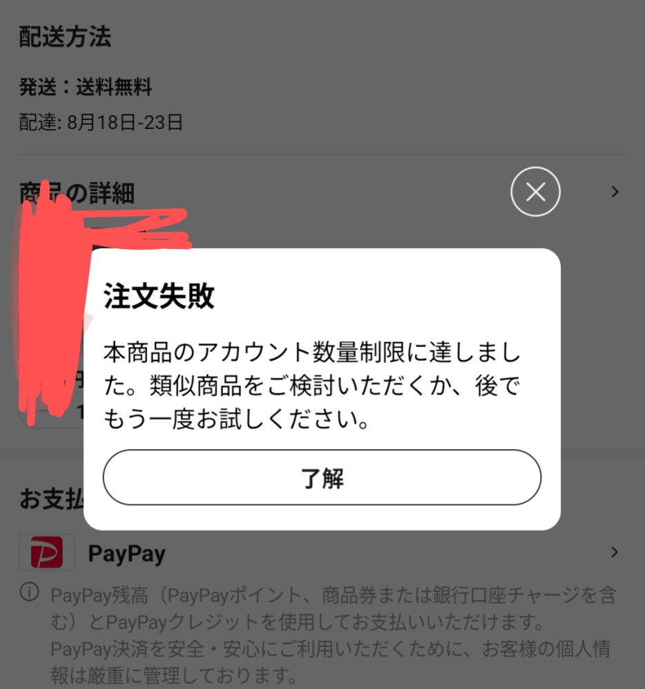 Pay　※他者様のご購入はお控え下さい 大至急お願いします！！！！AliExpressで購入しようとすると何度試して