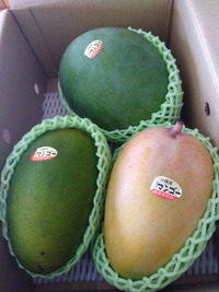 マンゴーを切ったところ、写真のような状態だったのですが、これ