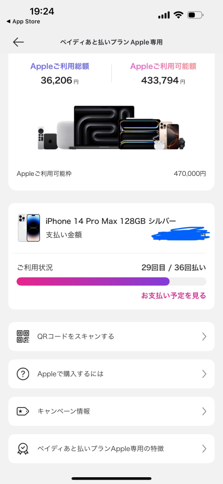 ペイディAppleで商品を購入しようとしたんですが、購入確定画面に移動