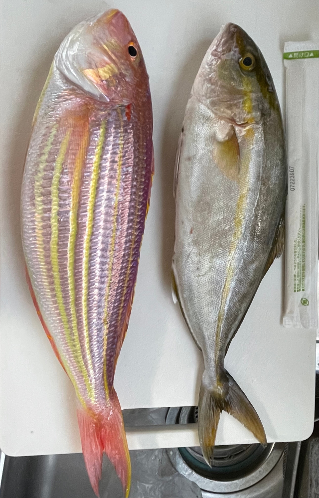 釣り具メーカーのフィールドテスターについて。。ご存知の方