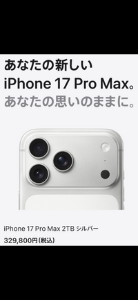 iPhone17ProMaxの2TBは30万円超えますが皆さんは買い - Yahoo!知恵袋