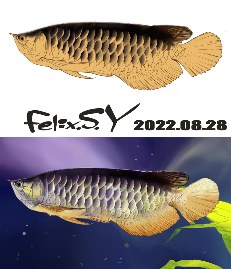 ★おはようごじゃいマシユマロ！ アクアリウムカテのみなしゃん！ 気温の低い金曜日、朝の５分のラクガキ絵でしゅ。何を描いたか、分かりましゅかあ？