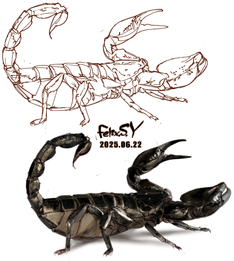 ★おはようごじゃいマシユマロ！ 昆虫カテのみなしゃん！ 暖かくなってきた金曜日、朝の５分のラクガキ絵でしゅ。何を描いたか、分かりましゅかあ？