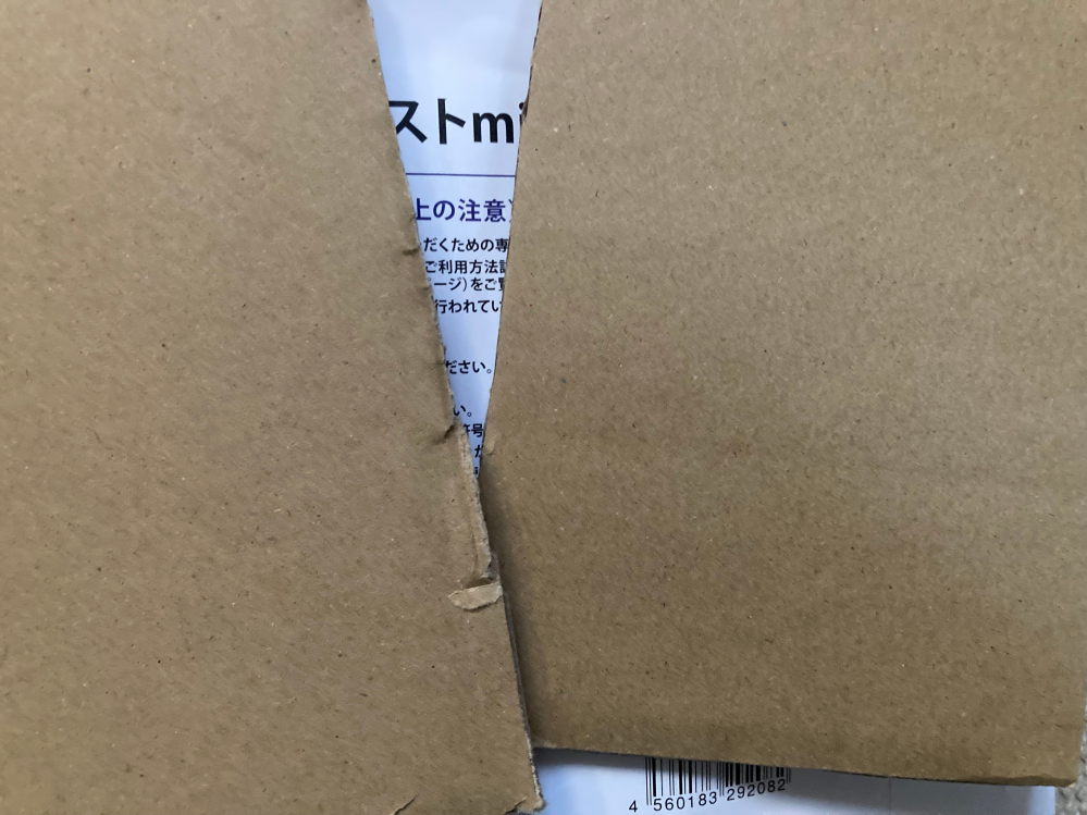 ヒカリゴケ 10月まで発送できません ヒカリゴケ 10月まで発送