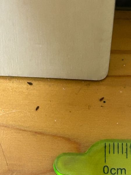これはゴキブリの糞でしょうか？前からクローゼットの角によくこのよう 