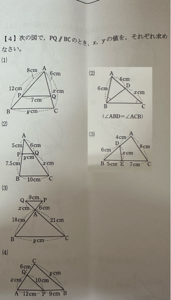 画像の問題全て解き方分からないです。解説と答えお願いします