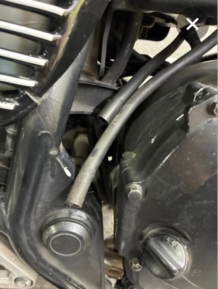 自分ジェイド250に乗っています初期の方からタンク下の2本のホースが