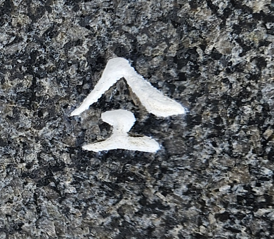 この苗字の読み方を教えてください 平成より前に使われていた苗字のようです