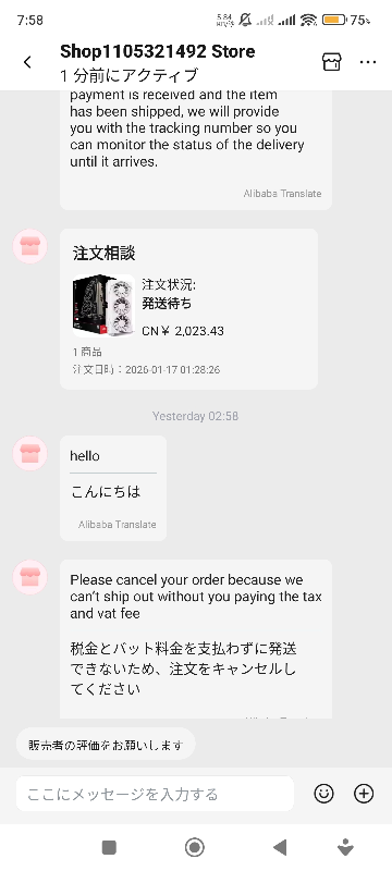 これどうしたらいいですか？詐欺ですか？セールで安くなってたので買っ 