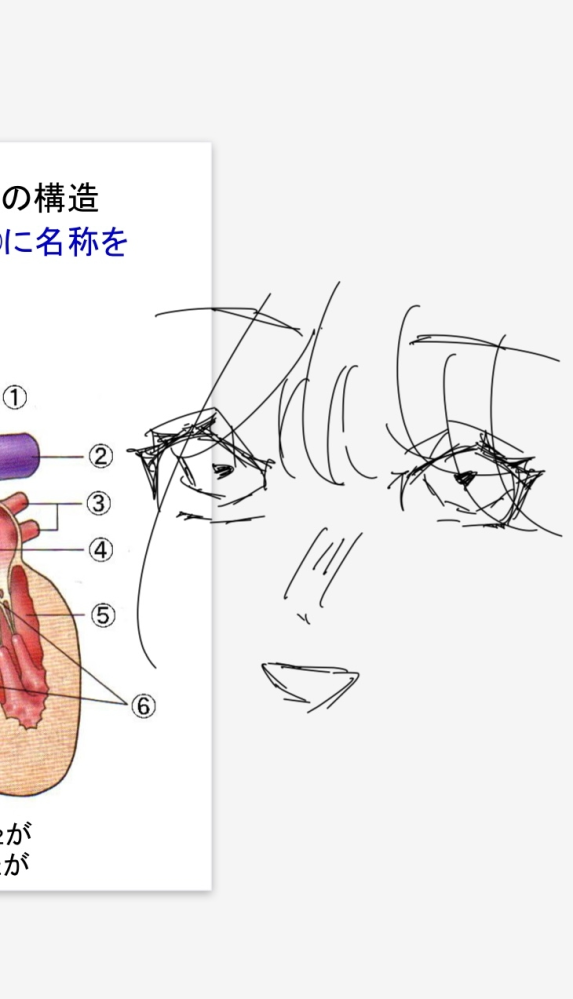 授業中に描いた落書きですが思ったより上手くいったので改善点と輪郭 
