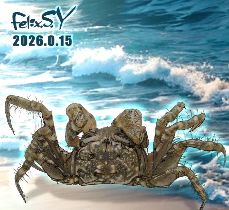 実家にあったサイン色紙です。イラストとサインがありますが、どなたの