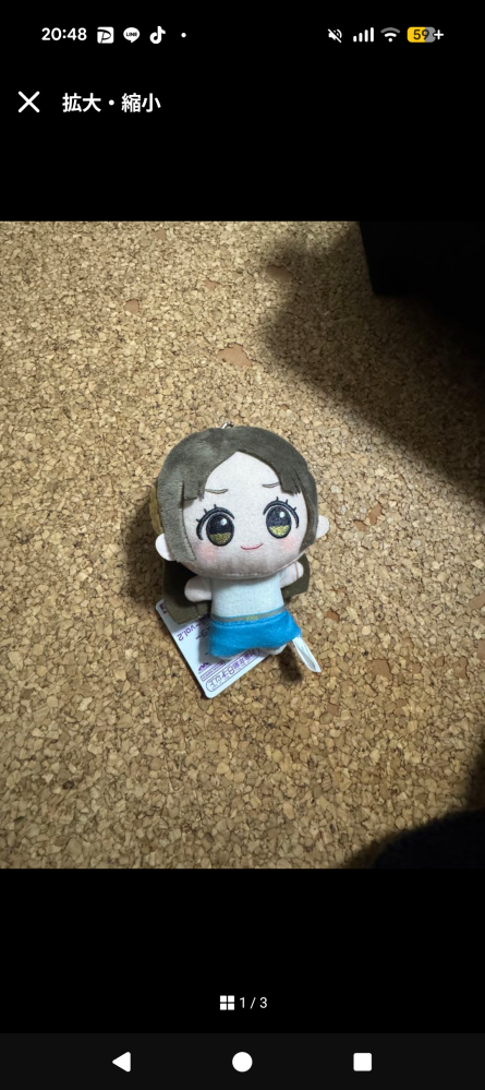 新しく買い替えのため出品しました。神経質でない方 新しく買い替えのため出品しました。神経質でない方 メルカリで出品