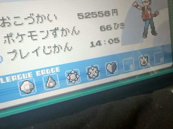 ポケモンリーフグリーンのSwitch版です - 6個目のジムもクリア