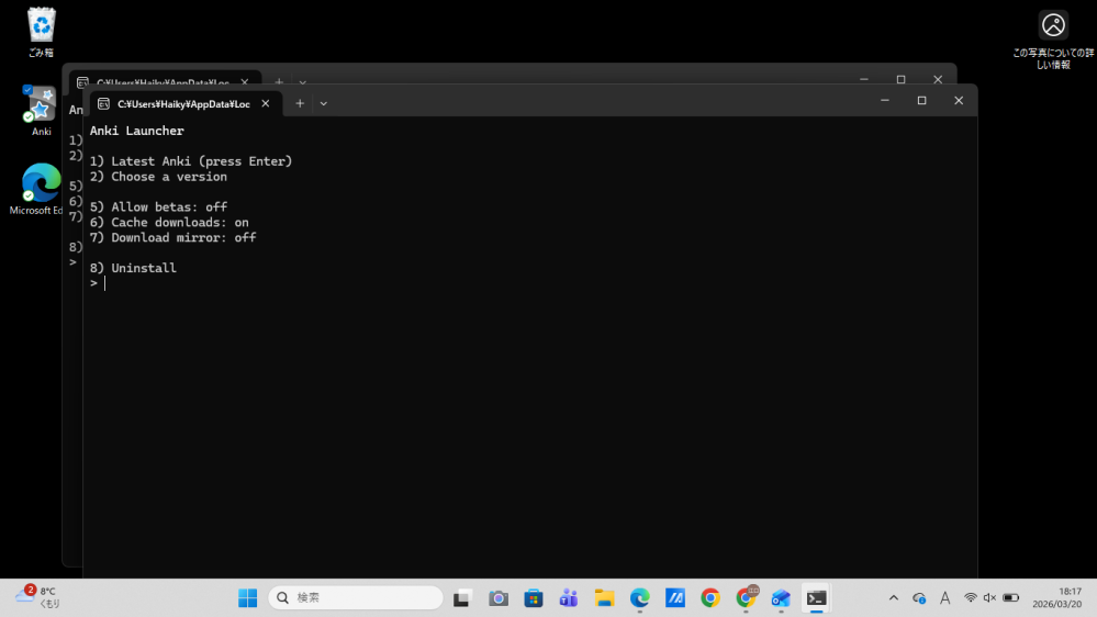 パソコンにAnki を入れようとしているのですが、何度やっても最終的に写真のようになってしまいます。どなたか対処法を教えて欲しいです