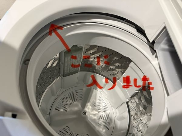 洗濯機の本体と洗濯槽の間にブラのパッドが落ちてしまったんですが 