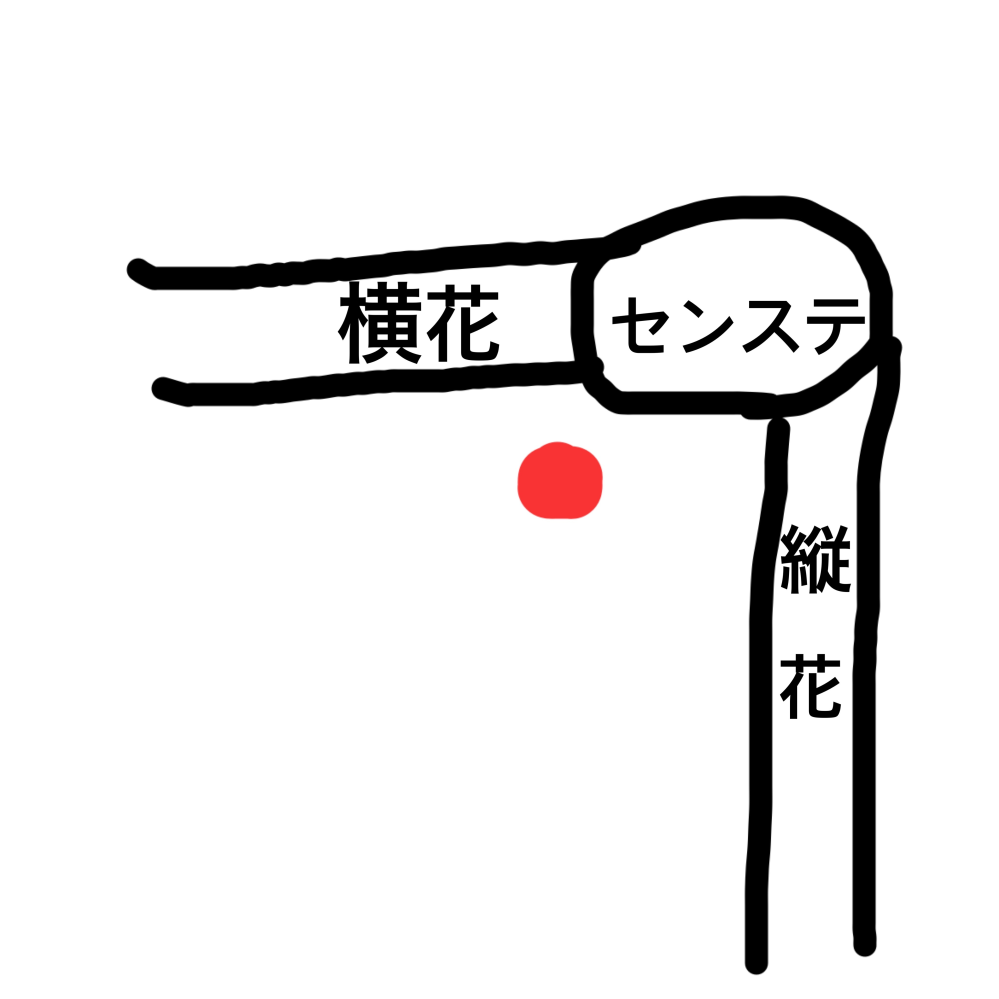 今年から岩﨑担になったのですが、去年のグッズ(ペンライトトップ