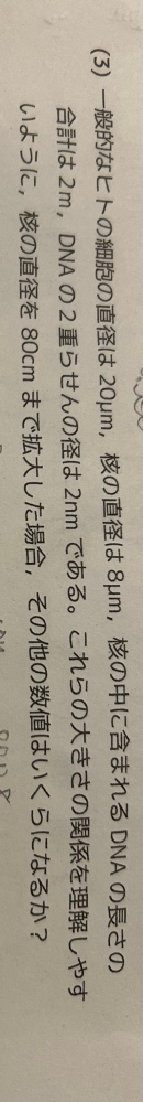 あまページです。画像の品物4種を各3個 画像の問題の答えを教えて欲しいです。お願いします。 - Yahoo!知恵袋