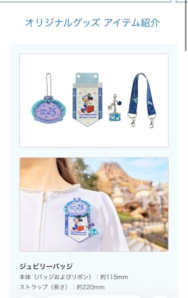 今度ディズニーランドとシーどちらもバケパで行くのですが、オリジナル