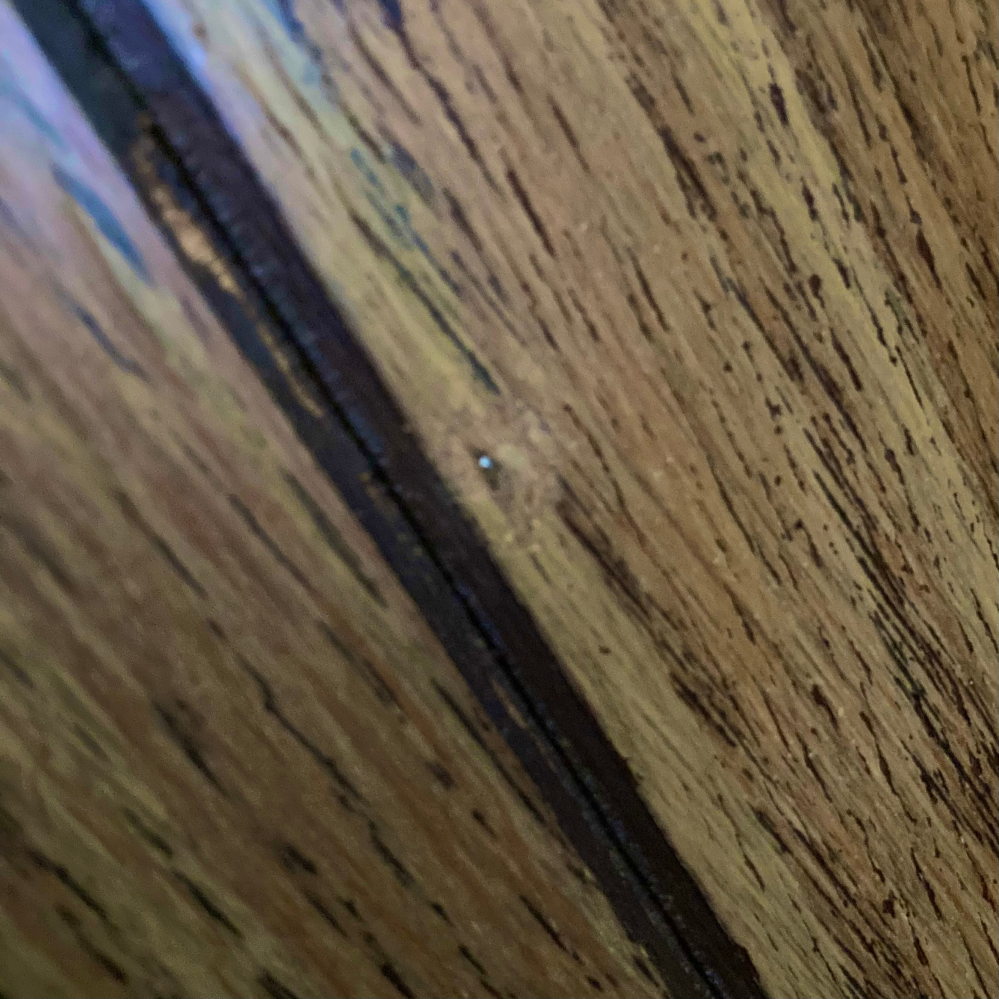 壁に小さな金属がありラジオペンチみたいな工具をセリアで買って抜けるか試したのですが、先端が出てなさすぎて掴めないです。 逆に叩いて押し込もうとラジオペンチで叩きまくったのですが埋まってくれませんでした。 壁に手で触れると痛いため排除したいのですが、どうすれば専用の工具などなく摘出出来ますか？