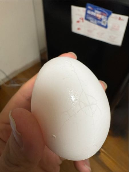 卵の殻にヒビが…ヒビがいつ入ったのか分からない場合、食べない方がい