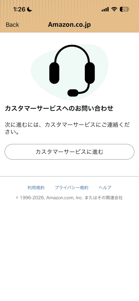 神経質な方はご入札をご遠慮下さい」と記載する出品者が多いです