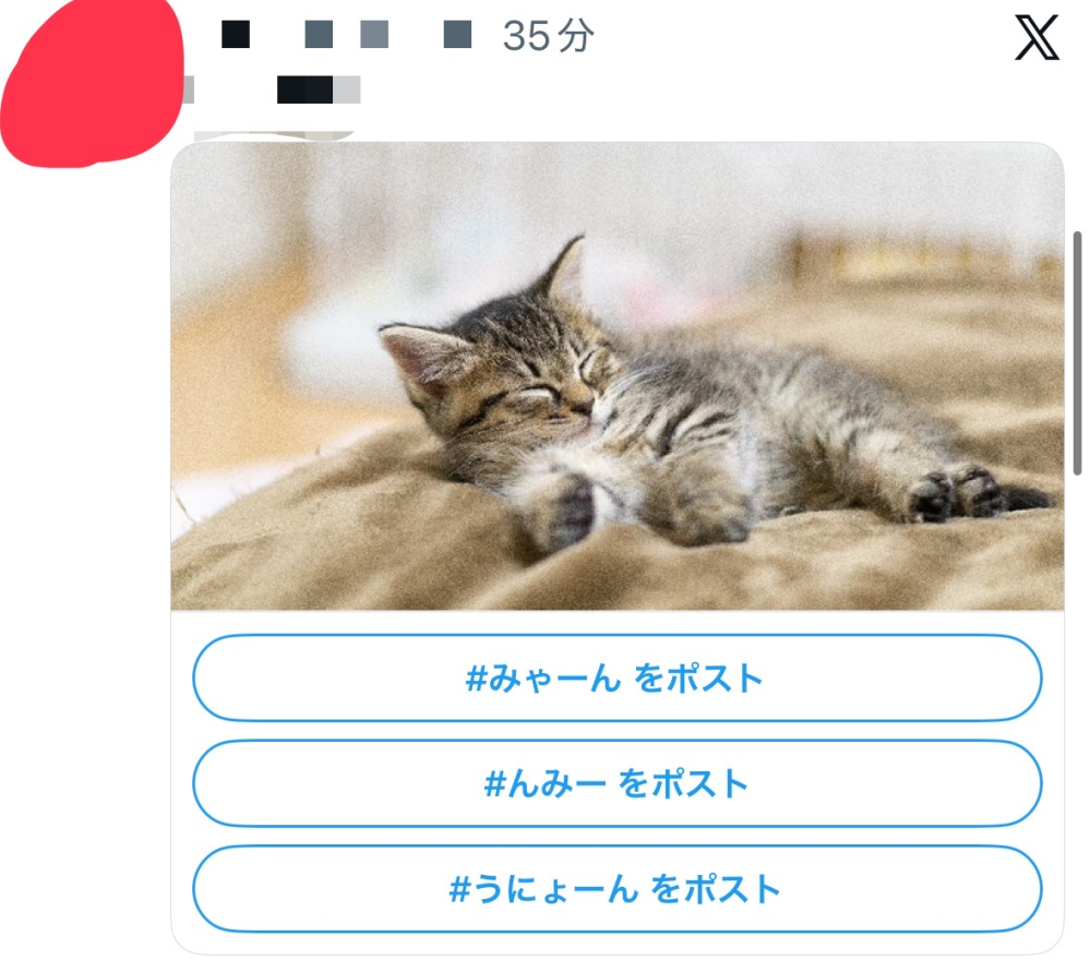 Twitter(X)の機能についての質問です画像のような投稿のやり方を教えて