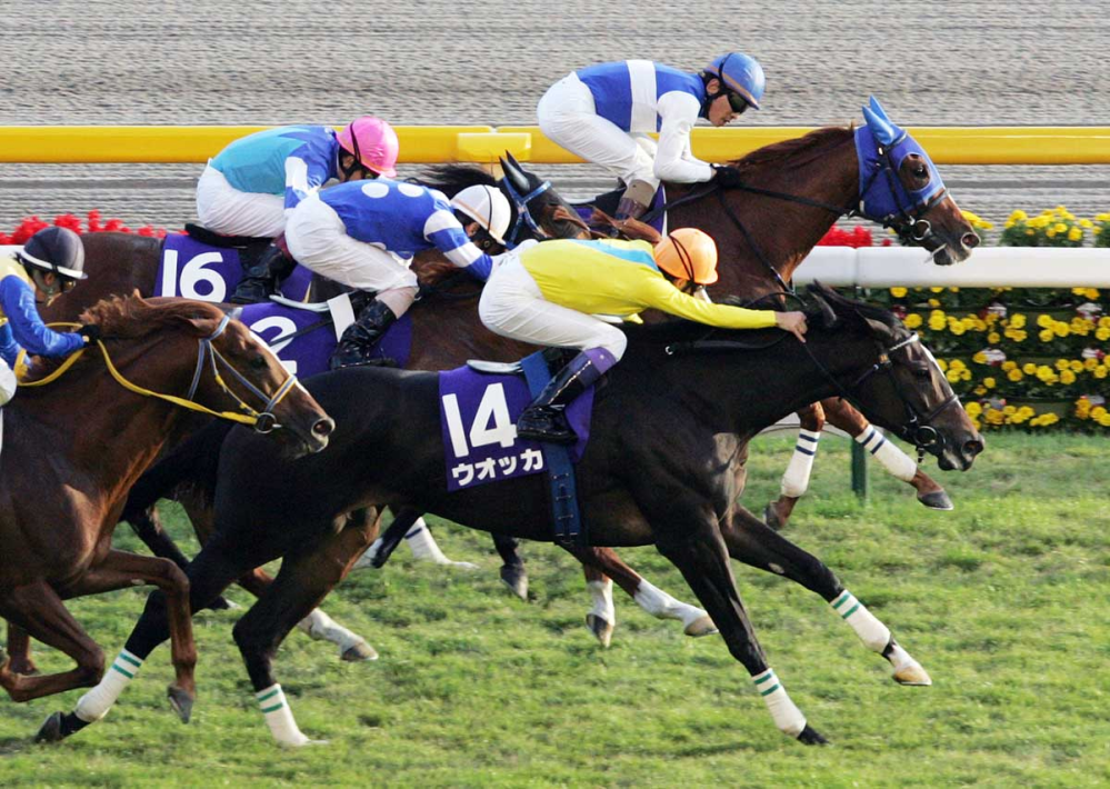 オグリキャップ、イナリワン、スーパークリークは平成三強と呼ばれま