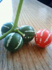 この植物の名前を教えて下さい 大きさはミニトマトぐらいで スイカのよ Yahoo 知恵袋