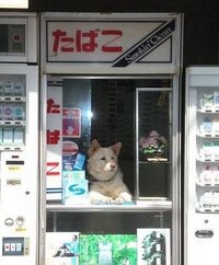 買い方 タバコ 未 成年