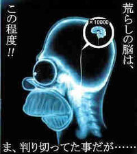 巨人のいわゆる空調ドームランって本当に存在するの バックネット側に巨 Yahoo 知恵袋