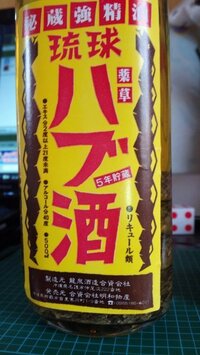 ハブ酒　おそらく20年以上 龍泉ハブ酒(ハブ入り：5.4L)［40度］ - 沖縄県から全国へ直送