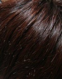 髪の赤みを抑えるためには何系の色を入れるといいんですか 元の黒髪に 5月の頭に Yahoo 知恵袋