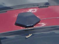 車の塗装剥がれについてです 車の屋根の塗装剥がれを発見しました 写 Yahoo 知恵袋