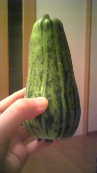 これ何瓜ですか 昨日 沢山野菜をもらったのですが この瓜は初めてです どのよう Yahoo 知恵袋