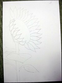 向日葵の絵の描き方 向日葵の絵の描き方を教えてください某stgキ Yahoo 知恵袋