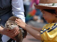 高校生女子です 誰よりも可愛くなりたいです 私は小さい頃は普通で 大きくなる Yahoo 知恵袋