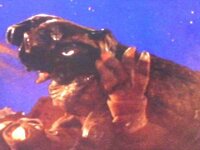 第38話 宇宙船救助命令 ウルトラマン砂地獄怪獣サイゴ なんじゃ Yahoo 知恵袋