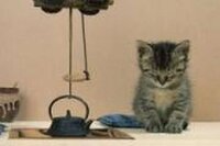 Onepieceについてです 黒ひげの 人の夢は終わらねぇ Yahoo 知恵袋