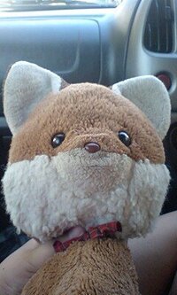 大人になってもぬいぐるみが欲しくなる人いますか 子供のためではなく Yahoo 知恵袋