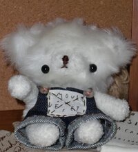 ぬいぐるみを作っています 先日友達の誕生日にぬいぐるみをつくりました でも Yahoo 知恵袋