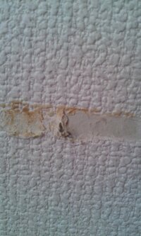 子供達のいたずらに困っています 三人の子供達が壁紙を削ってはがして Yahoo 知恵袋