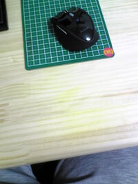 ポケットモンスターファイアレッドウィンディの性格 久しぶりに Yahoo 知恵袋