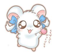 アニメ とっとこハム太郎の最終回ってどんな感じだったんですか かな Yahoo 知恵袋